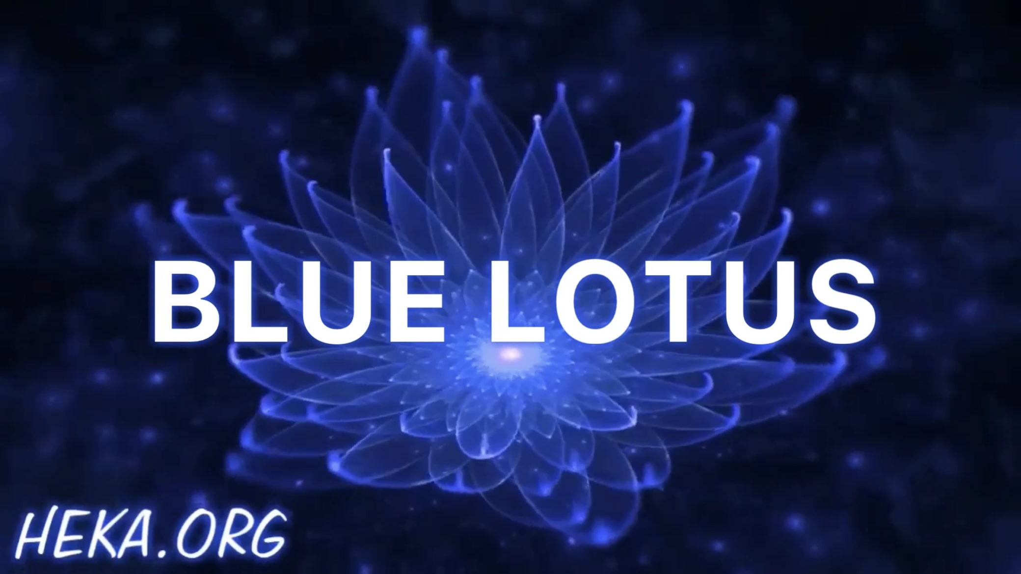 BLUE LOTUS MEDITATION